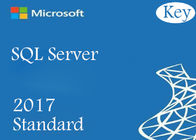 SQL Server 2017 Standard 24 Globale Productcode van de Kern de Online Licentiecode